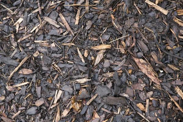Easy and Fast Mulch Delivery Near Me for Landscaping Projects