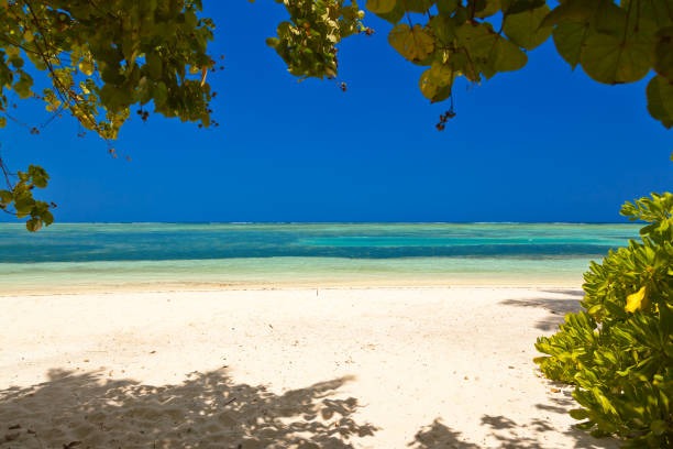 Fashionable Resort Wear for Men for Beach Parties