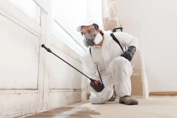 Henrico Mold Remediation Service That Eliminates Mold at the Source