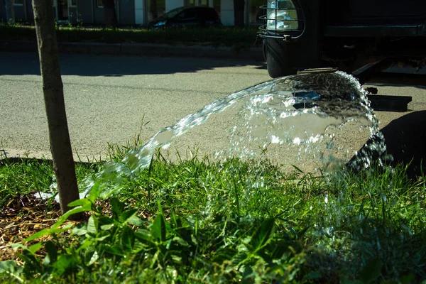Why Water Leaks Severna Park Homes Need Immediate Attention