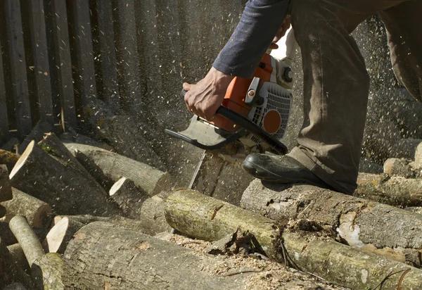 Experienced Team for Dependable tree service South Lake Tahoe