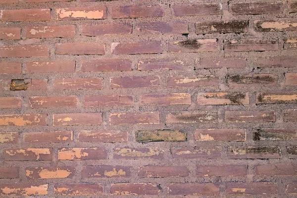What Homeowners Should Know About Crawl Space Vapor Barriers